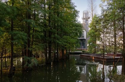 Redwood Tribe Shared Restaurant in Hongqiyang Village | y.ad studio