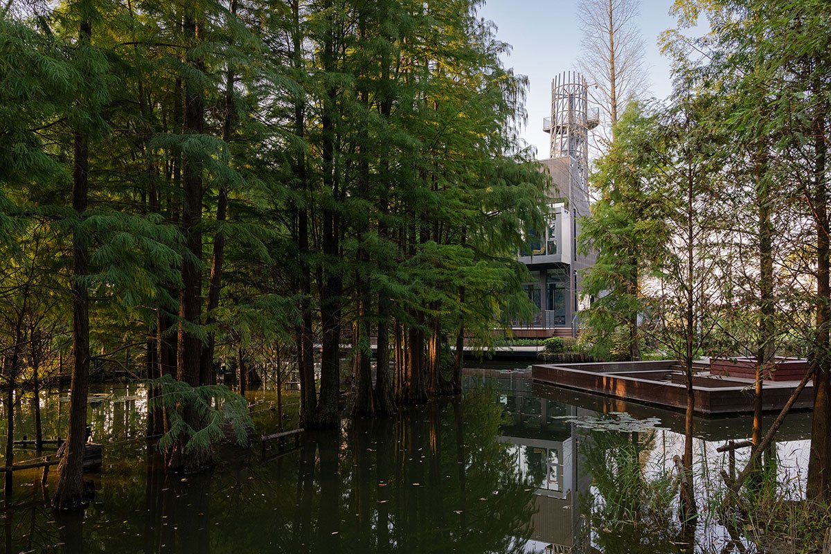 Redwood Tribe Shared Restaurant in Hongqiyang Village | y.ad studio
