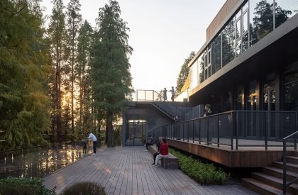 Redwood Tribe Shared Restaurant in Hongqiyang Village | y.ad studio