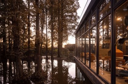 Redwood Tribe Shared Restaurant in Hongqiyang Village | y.ad studio