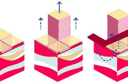 Shelter Dynamics: Expand, Extend, Self-Sustain And Grow | Architecture Thesis on Urban Housing