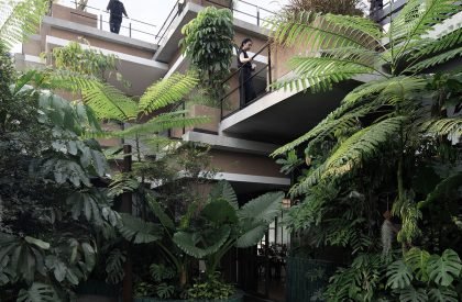 Aruma Split Garden | RAD+ar