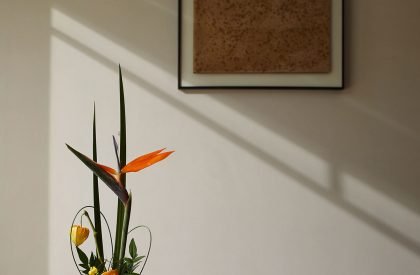 Bluetown · Aroma Town | WJ Studio