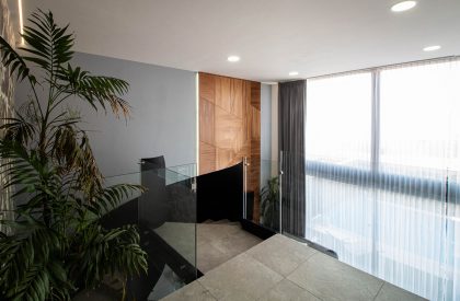 Copali House | Dehonor Arquitectos