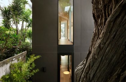 Dolores Heights Residence | Jones | Haydu