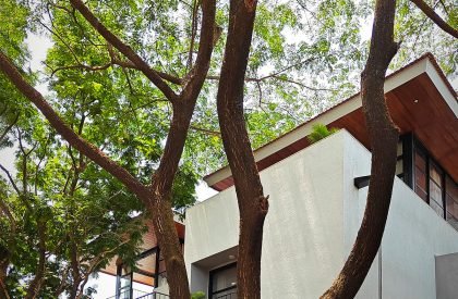 Jade | unTAG Architecture and Interiors