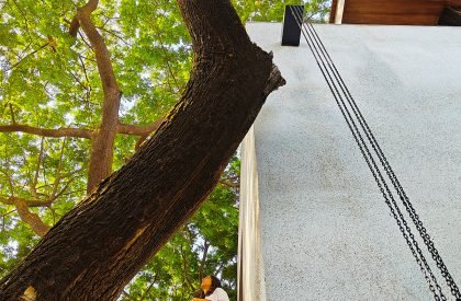 Jade | unTAG Architecture and Interiors