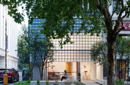 Reef | Say Architects