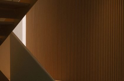 Reef | Say Architects