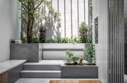 Salem House | Story Architecture