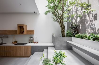 Salem House | Story Architecture