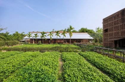 Terra Cotta Workshop | Tropical Space