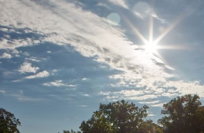 The Moravian Square Park Revitalisation | Consequence Forma Architects