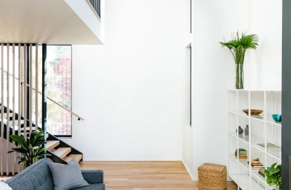 Tsuga Townhomes | Wittman Estes