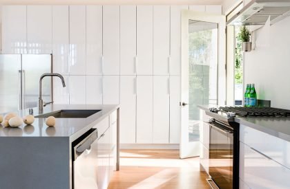 Tsuga Townhomes | Wittman Estes