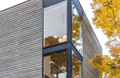 Tsuga Townhomes | Wittman Estes