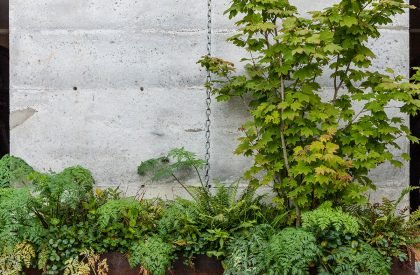 Tsuga Townhomes | Wittman Estes