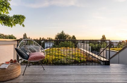 Tsuga Townhomes | Wittman Estes