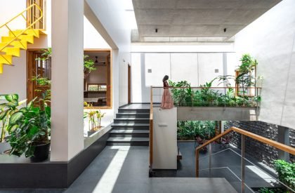 In-between Gardens | A Threshold