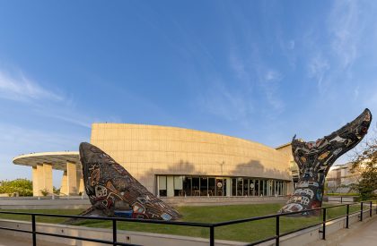Aquatic Gallery | INI Design Studio