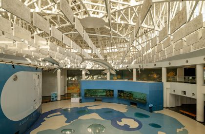 Aquatic Gallery | INI Design Studio