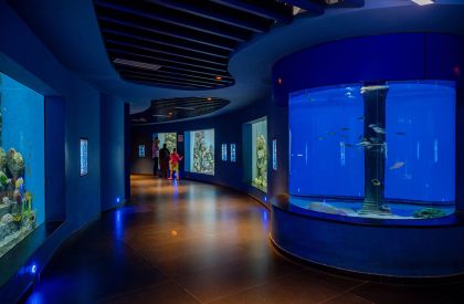Aquatic Gallery | INI Design Studio