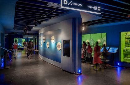 Aquatic Gallery | INI Design Studio