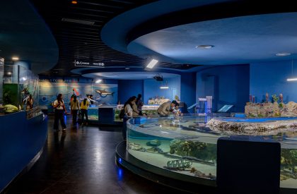 Aquatic Gallery | INI Design Studio