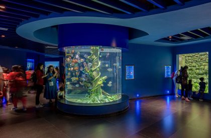Aquatic Gallery | INI Design Studio
