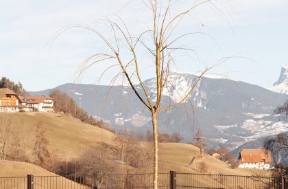 Casa Luis | Messner Architects