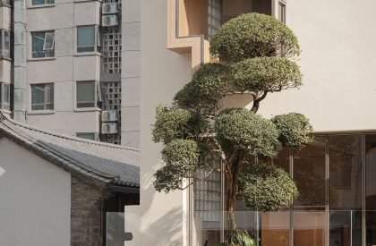 Chun Sheng Jewelry | Aurora Design