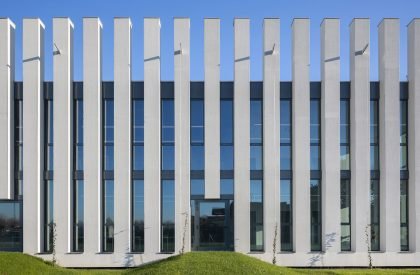 Guglielmo Marconi Primary School | AAA Office