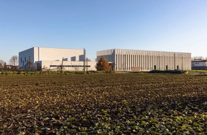 Guglielmo Marconi Primary School | AAA Office