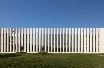 Guglielmo Marconi Primary School | AAA Office