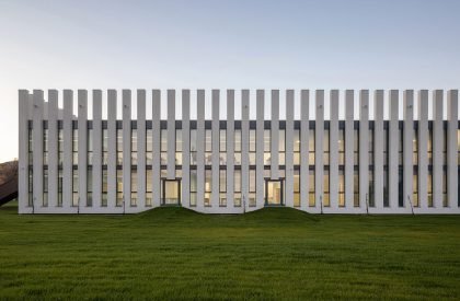 Guglielmo Marconi Primary School | AAA Office