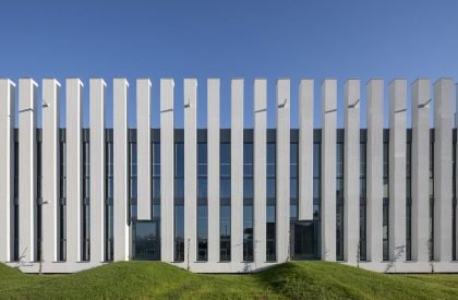 Guglielmo Marconi Primary School | AAA Office