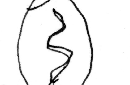 Kupla | Avanto Architects