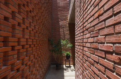 LT House | Tropical Space