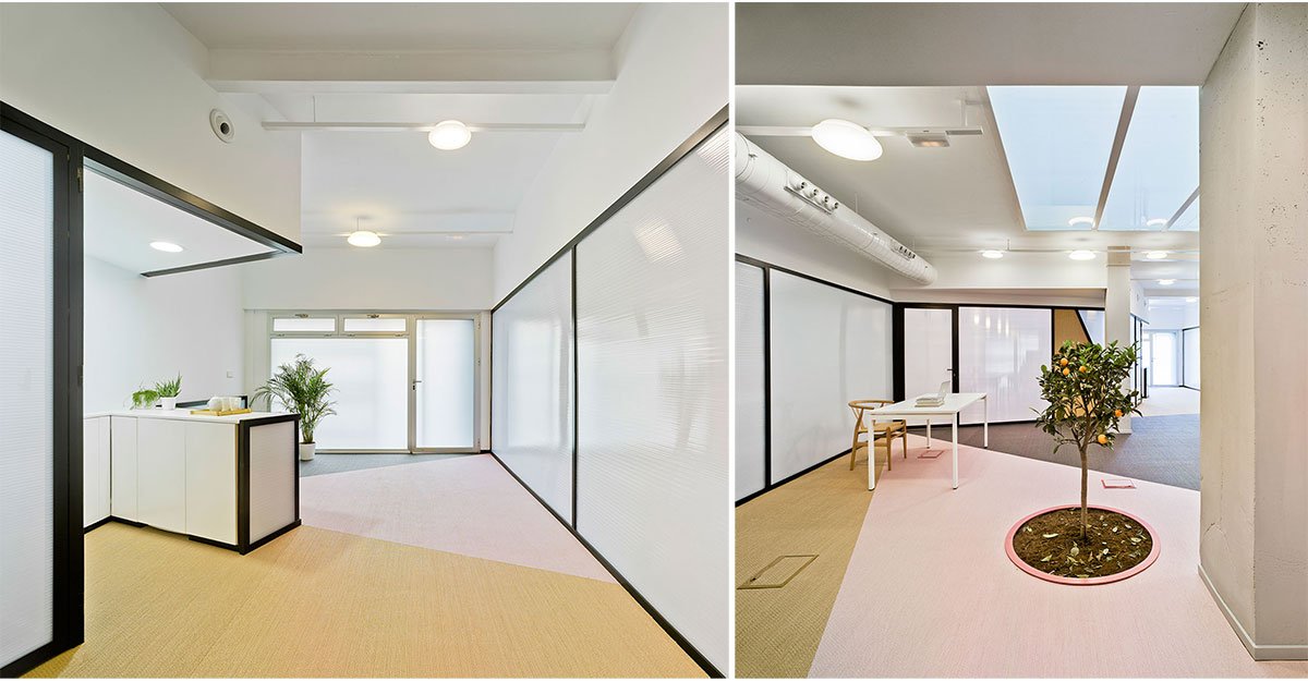Lano Fruits Office | Laura Ortin Arquitectura