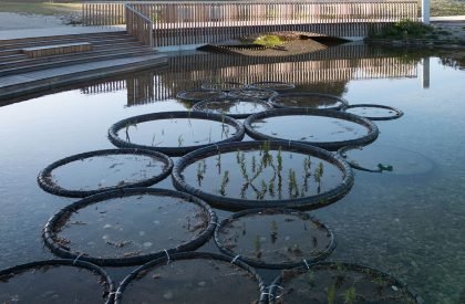 Modernisation of Pole Mokotowskie Park | WXCA