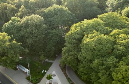 Modernisation of Pole Mokotowskie Park | WXCA