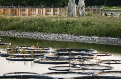 Modernisation of Pole Mokotowskie Park | WXCA