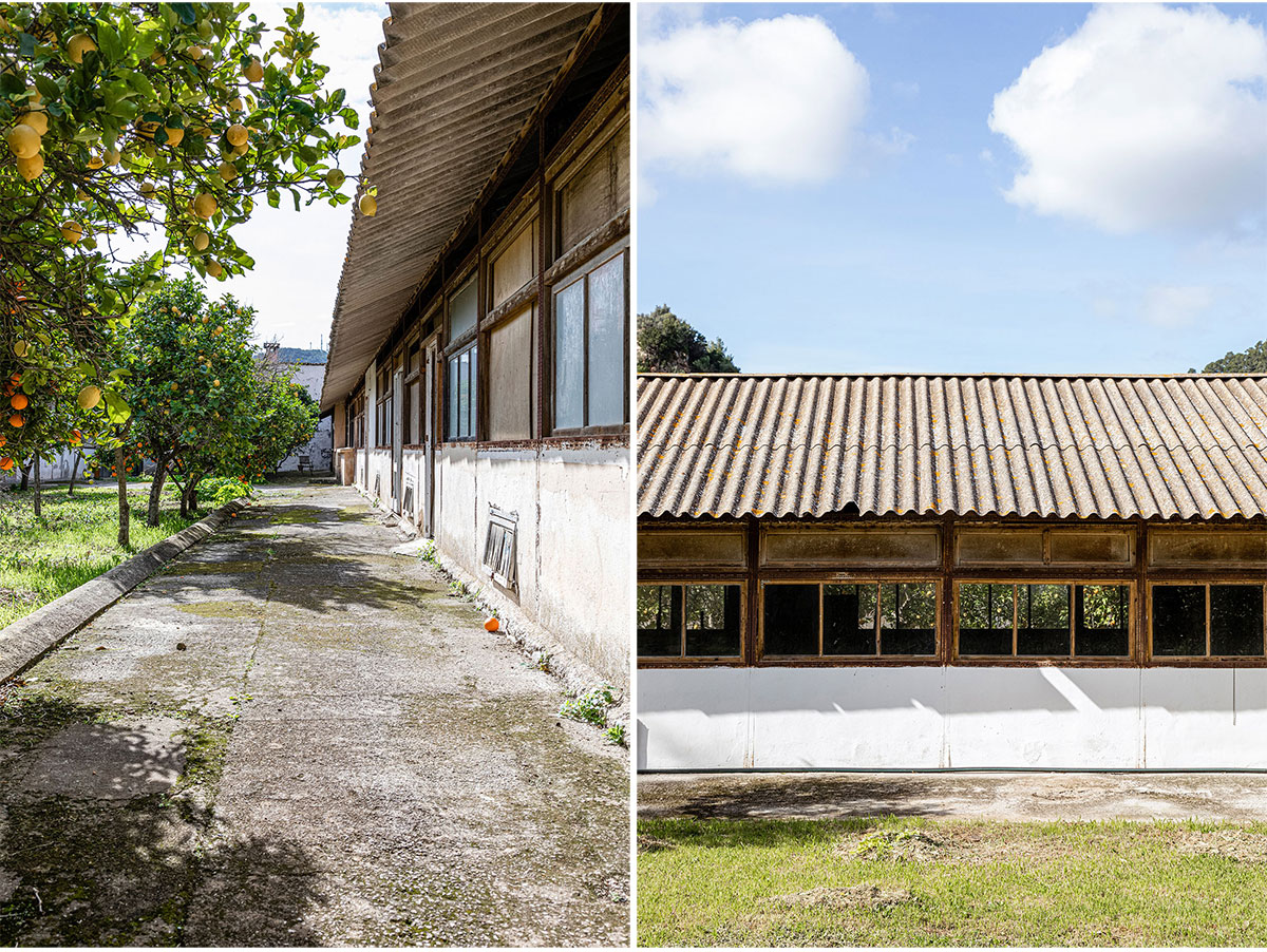 Sa Taronja | Beef Architekti