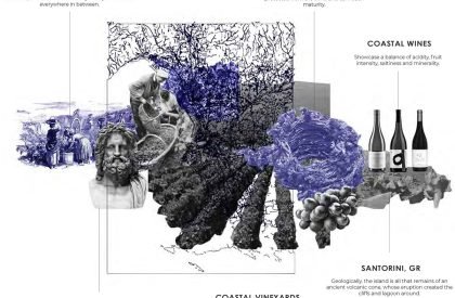 Dionysus’ Yard: A Winery and Research Center at Marseille, France | Architecture Thesis