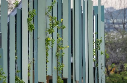 Benchakitti Rain Forest Observatory | HAS Design and Research