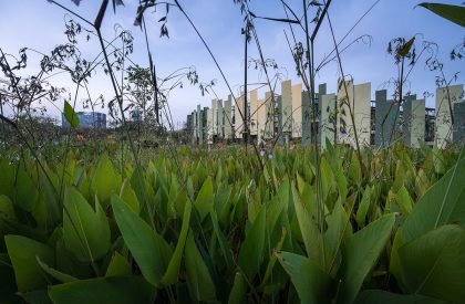 Benchakitti Rain Forest Observatory | HAS Design and Research