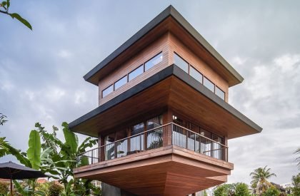 Bird Houses | Alexis Dornier