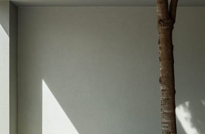 Casa Quase Verde | PSB Arquitectos