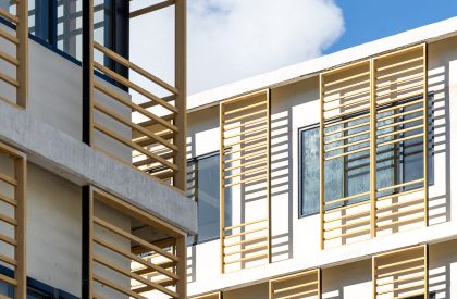 Espacio | Materia + Gustavo Carmona