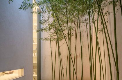 Forest Villa | HAS Design and Research